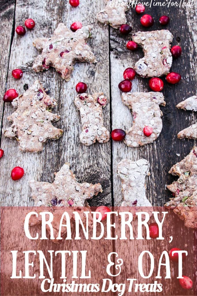 Cranberries, Lentils and Oats Christmas Dog Treats