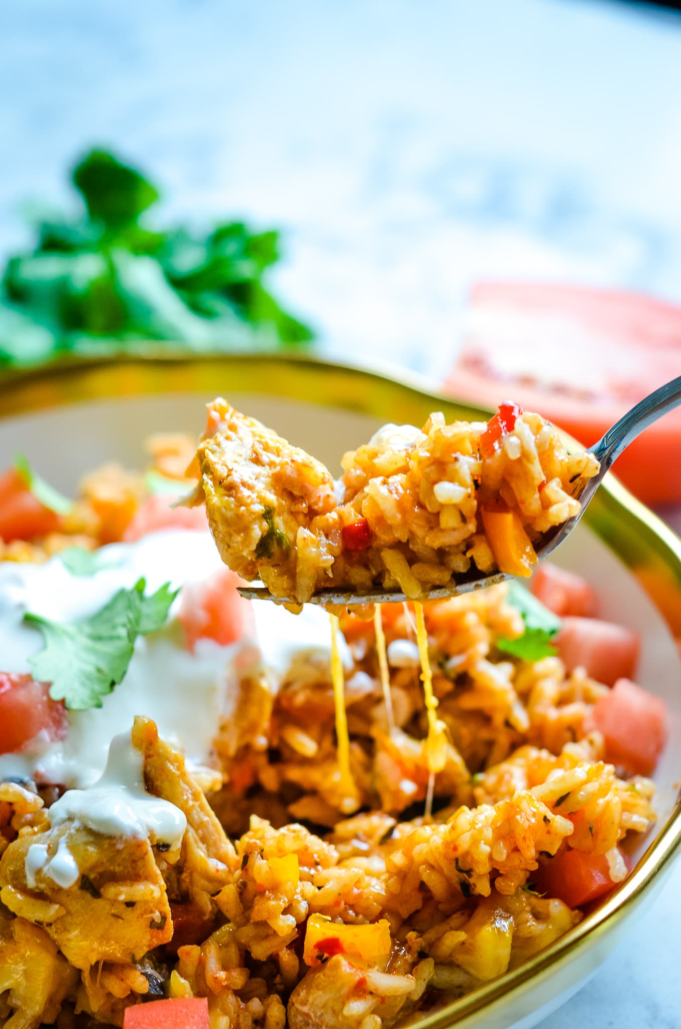 Instant Pot Chipotle Chicken and Rice - I Don't Have Time For That!