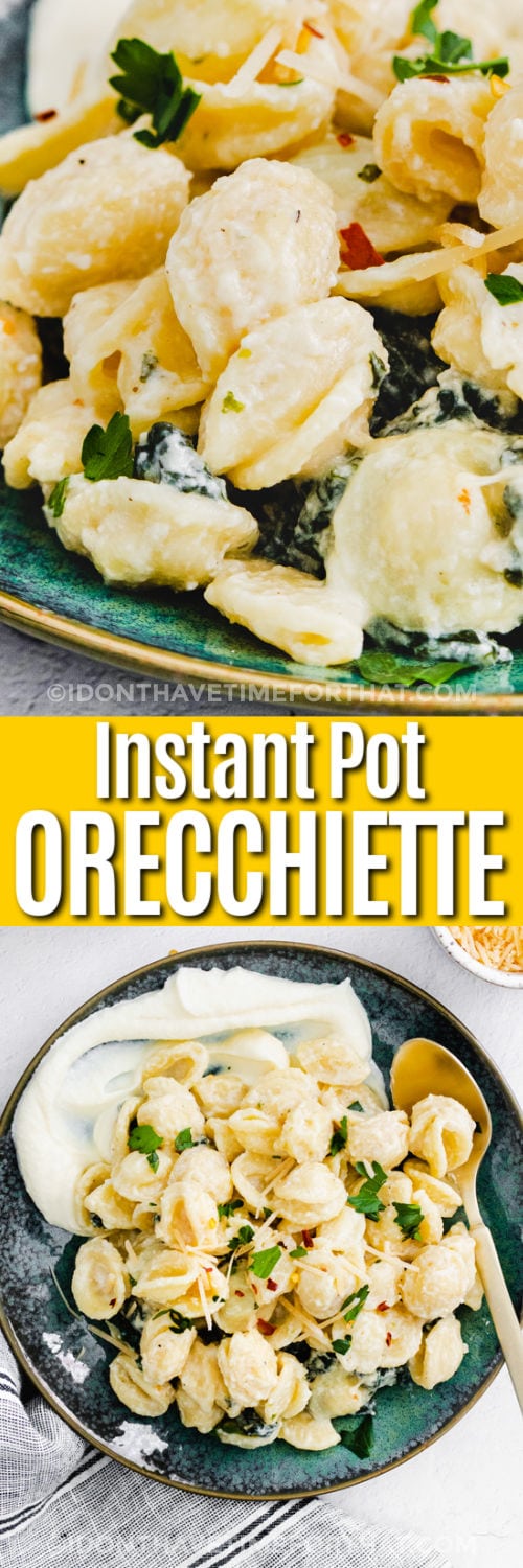 plated Instant Pot Orecchiette with Kale and close up with writing