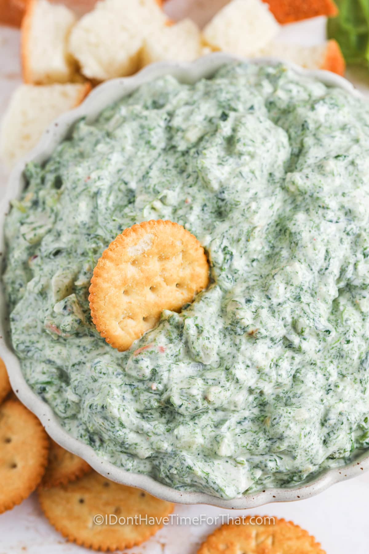 Spinach Dip with a cracker dipped in