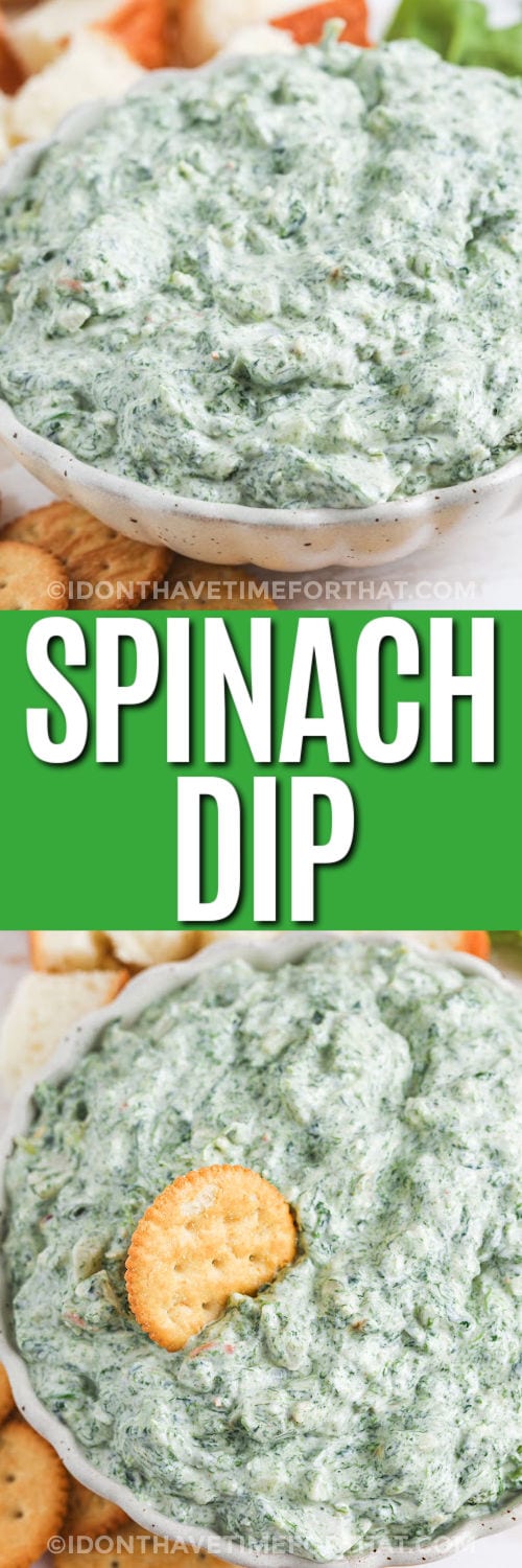 plated Spinach Dip and with a cracker dipped in with a title