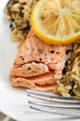 close up of Instant Pot Salmon with a fork